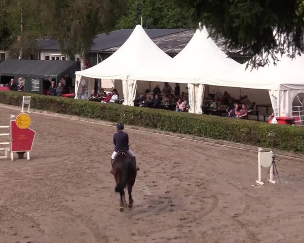 Reitturnier Siegen 2017