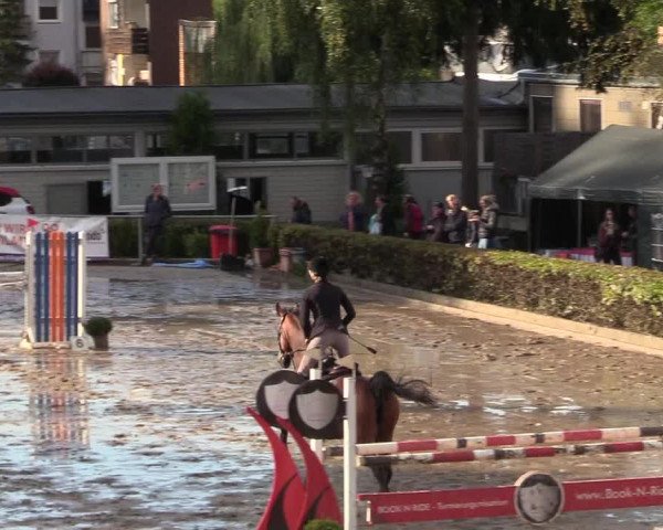 Reitturnier Siegen 2017