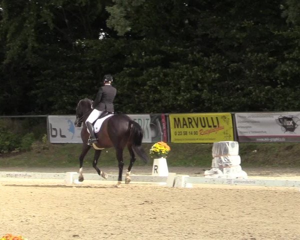 Reitturnier Meinerzhagen 2017