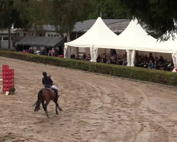 Reitturnier Siegen 2017