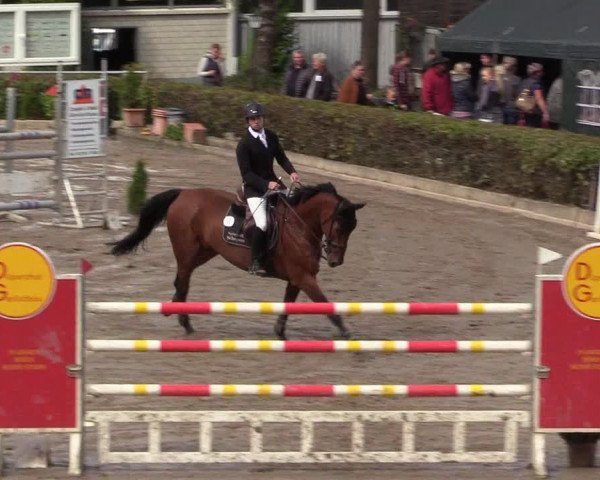 Reitturnier Siegen 2017