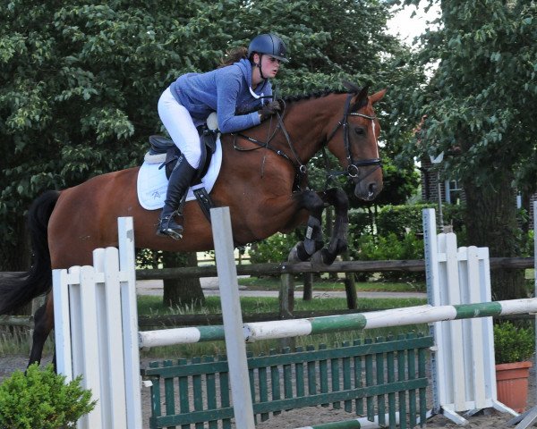 horse Stute von Casper/Arpeggio (German Warmblood, 2014, from Casper)