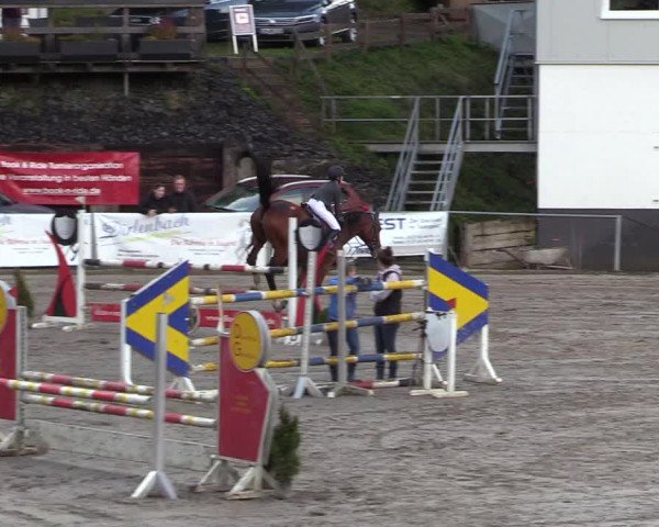 Reitturnier Siegen 2017