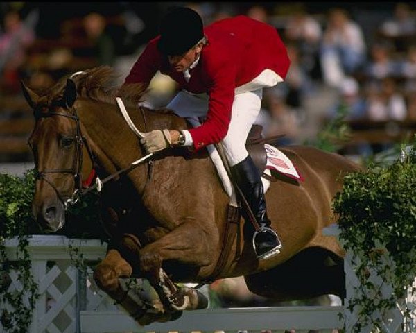 Pferd Mill Pearl (Irish Sport Horse, 1979, von King of Diamonds)