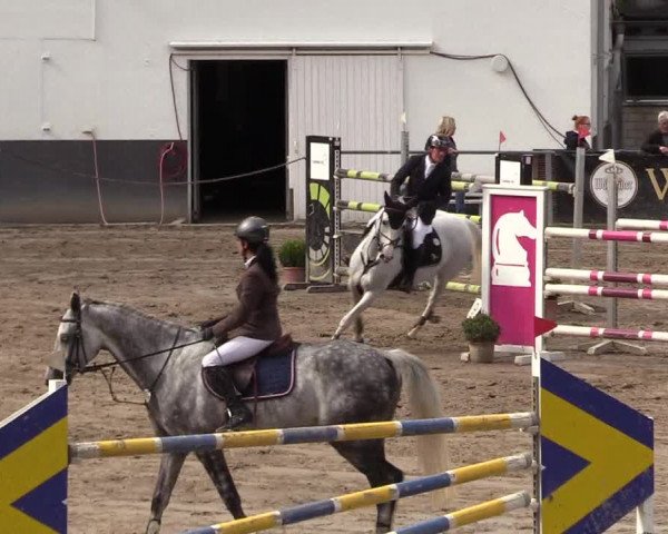 Reitturnier Siegen 2017