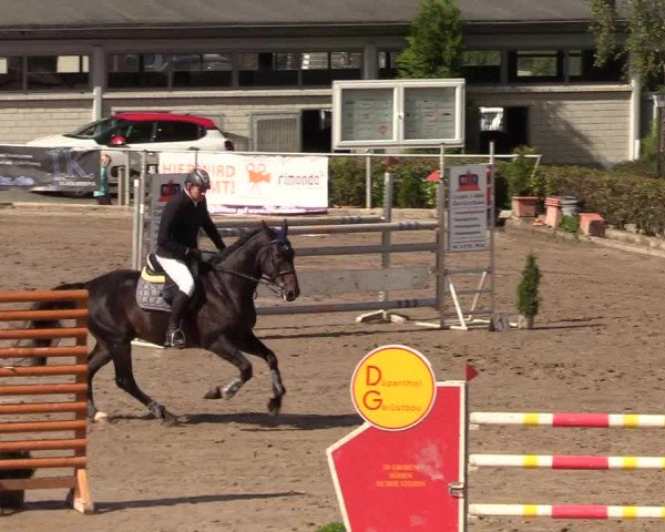 Reitturnier Siegen 2017