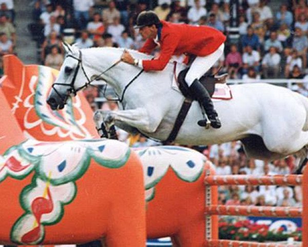 horse Gem Twist xx (Thoroughbred, 1979, from Good Twist xx) horse Gem Twist xx (Thoroughbred, 1979, from Good Twist xx)