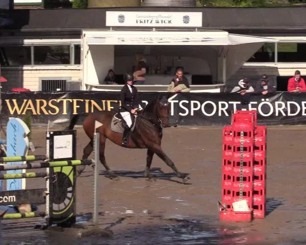 Reitturnier Siegen 2017