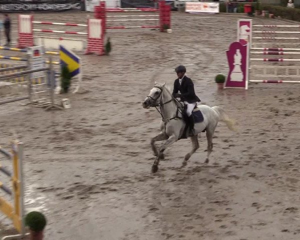 Reitturnier Siegen 2017