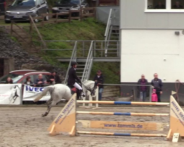 Reitturnier Siegen 2017