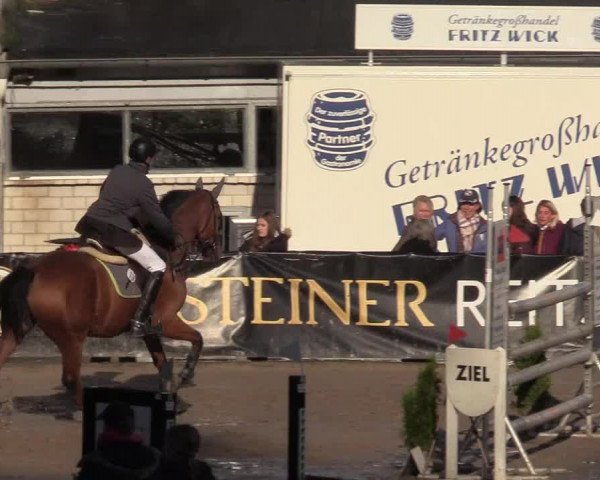 Reitturnier Siegen 2017
