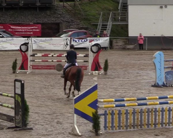 Reitturnier Siegen 2017