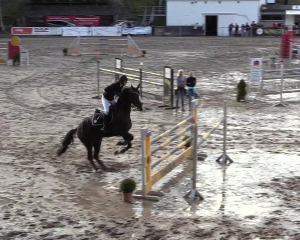 Reitturnier Siegen 2017
