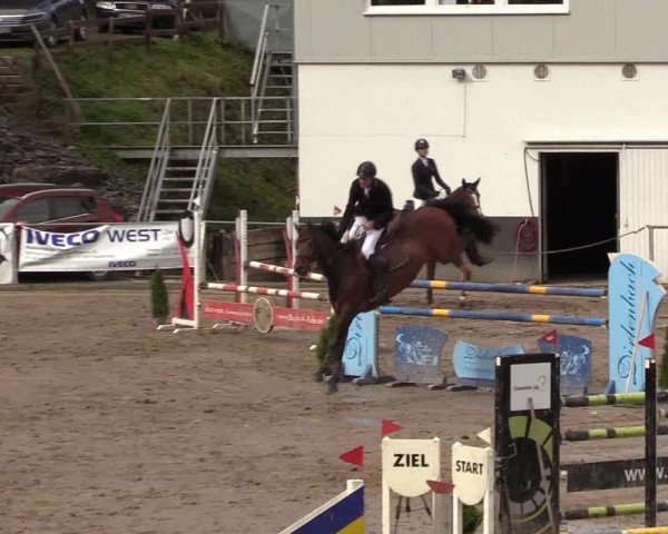 Reitturnier Siegen 2017