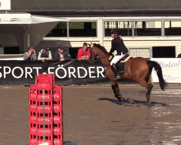 Reitturnier Siegen 2017
