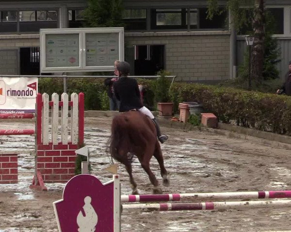 Reitturnier Siegen 2017