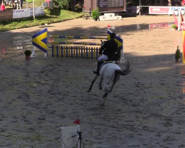 Reitturnier Siegen 2017
