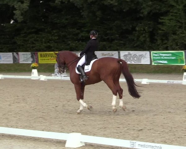Reitturnier Meinerzhagen 2017