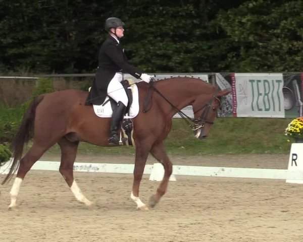 Reitturnier Meinerzhagen 2017