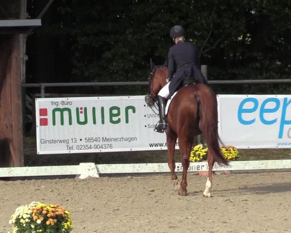 Reitturnier Meinerzhagen 2017