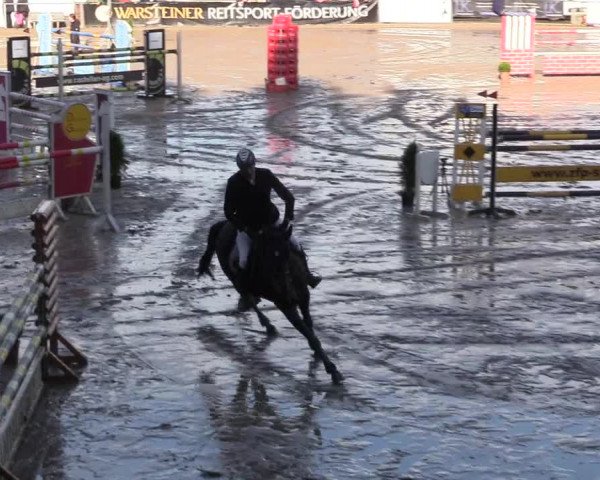 Reitturnier Siegen 2017