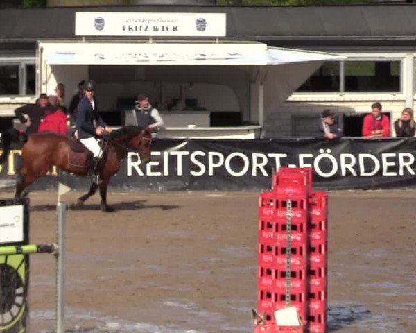 Reitturnier Siegen 2017