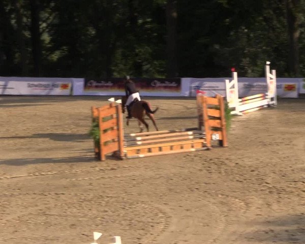 Reitturnier Buchenhof-Ibbenbüren 2017