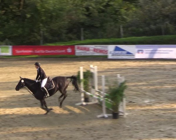 Reitturnier Buchenhof-Ibbenbüren 2017