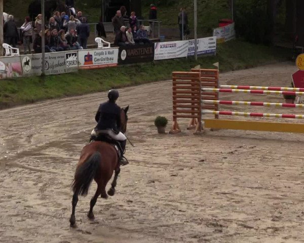 Reitturnier Siegen 2017