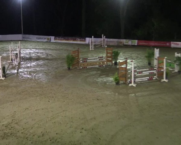 Reitturnier Buchenhof-Ibbenbüren 2017
