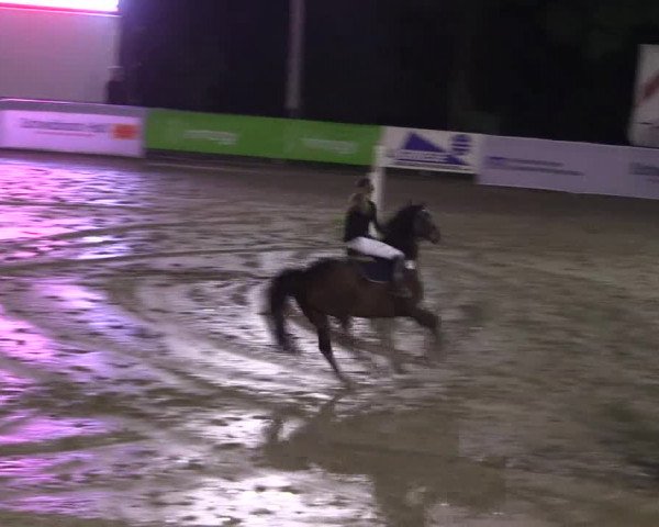 Reitturnier Buchenhof-Ibbenbüren 2017
