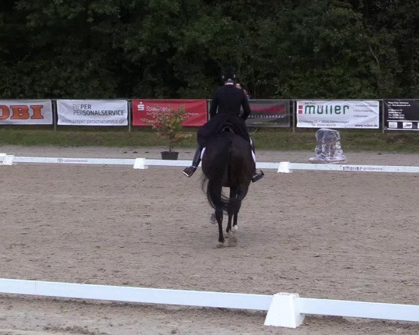 Reitturnier Meinerzhagen 2017