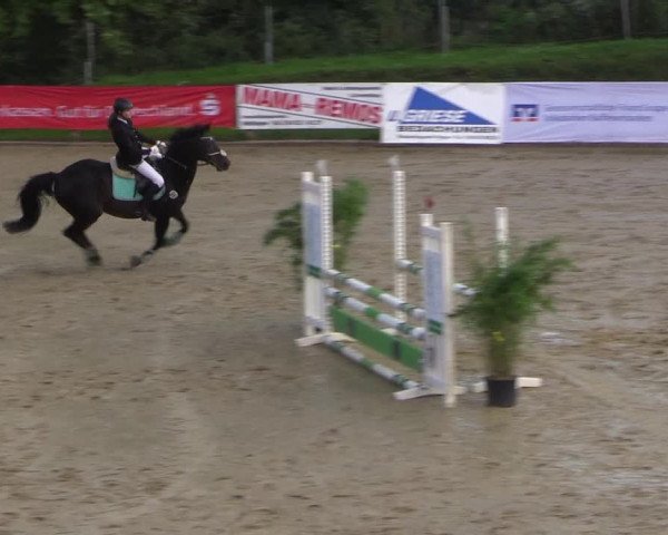 Reitturnier Buchenhof-Ibbenbüren 2017
