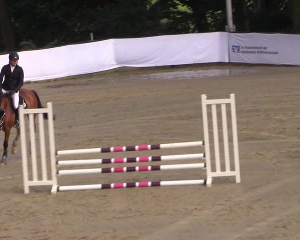 Reitturnier Buchenhof-Ibbenbüren 2017
