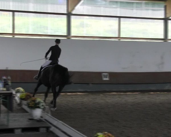 Reitturnier Meinerzhagen 2017