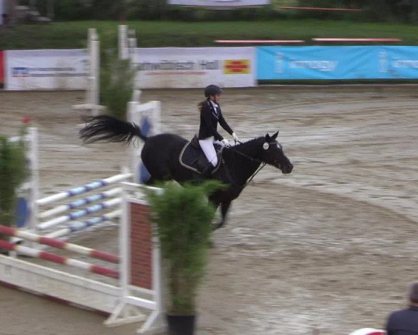 Reitturnier Buchenhof-Ibbenbüren 2017