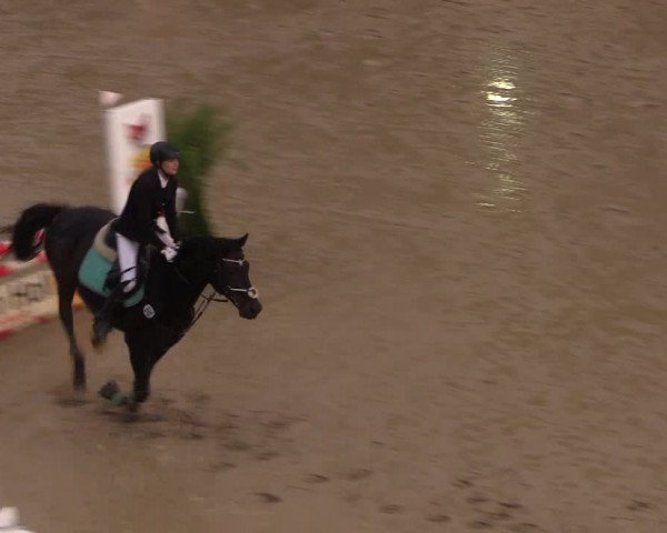 Reitturnier Buchenhof-Ibbenbüren 2017