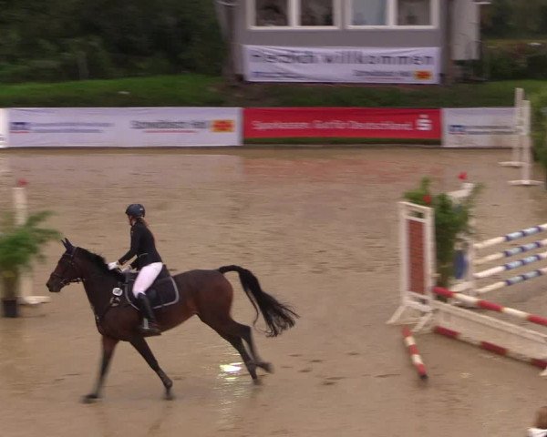 Reitturnier Buchenhof-Ibbenbüren 2017