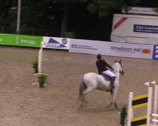 Reitturnier Buchenhof-Ibbenbüren 2017
