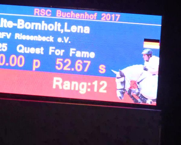 Reitturnier Buchenhof-Ibbenbüren 2017