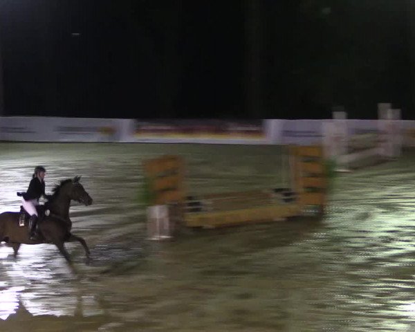 Reitturnier Buchenhof-Ibbenbüren 2017