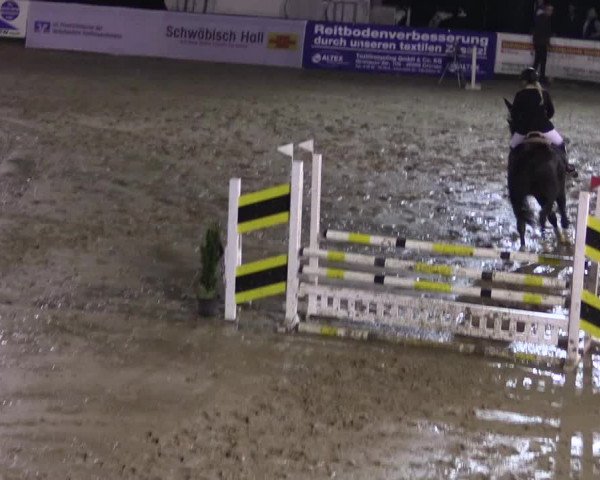 Reitturnier Buchenhof-Ibbenbüren 2017