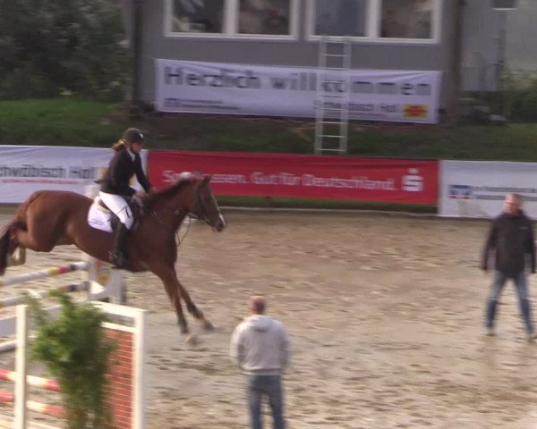 Reitturnier Buchenhof-Ibbenbüren 2017