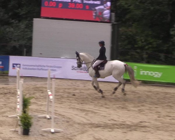 Reitturnier Buchenhof-Ibbenbüren 2017