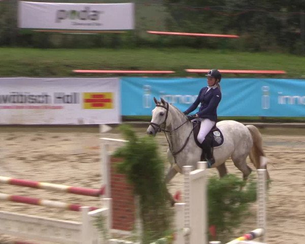 Reitturnier Buchenhof-Ibbenbüren 2017