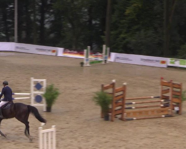 Reitturnier Buchenhof-Ibbenbüren 2017