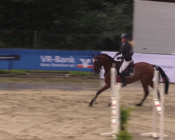 Reitturnier Buchenhof-Ibbenbüren 2017