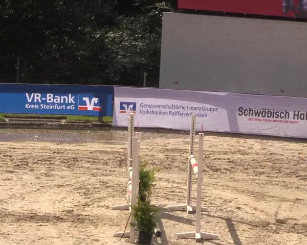Reitturnier Buchenhof-Ibbenbüren 2017