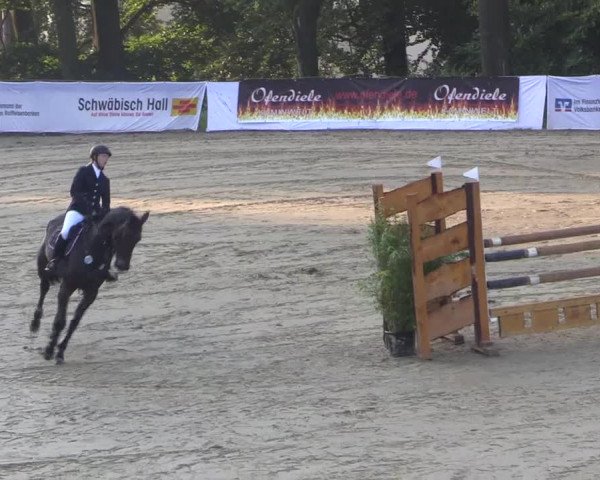 Reitturnier Buchenhof-Ibbenbüren 2017