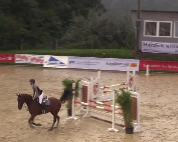 Reitturnier Buchenhof-Ibbenbüren 2017